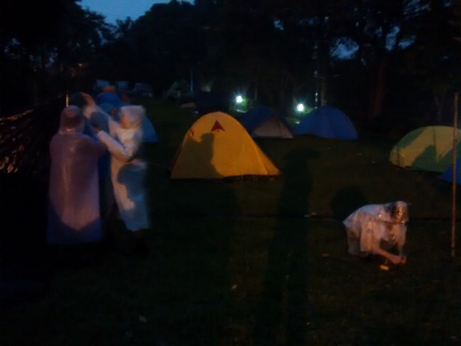 img-17.png 