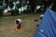 Thumbnail d-3.png 