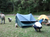 Thumbnail img-31.png 