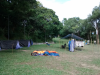 Thumbnail img-35.png 