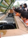 Thumbnail M-14.jpg 