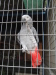 Thumbnail M-22.jpg 
