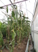 Thumbnail M-3.jpg 