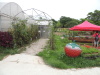 Thumbnail M-30.jpg 