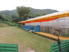 Thumbnail M-32.jpg 