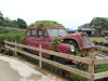 Thumbnail M-34.jpg 