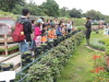 Thumbnail M-6.jpg 