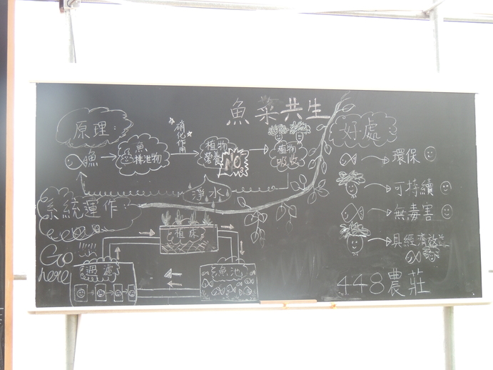 M-12.jpg 