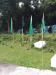Thumbnail M-9.jpg 